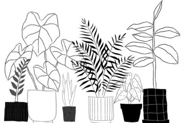 potted plants