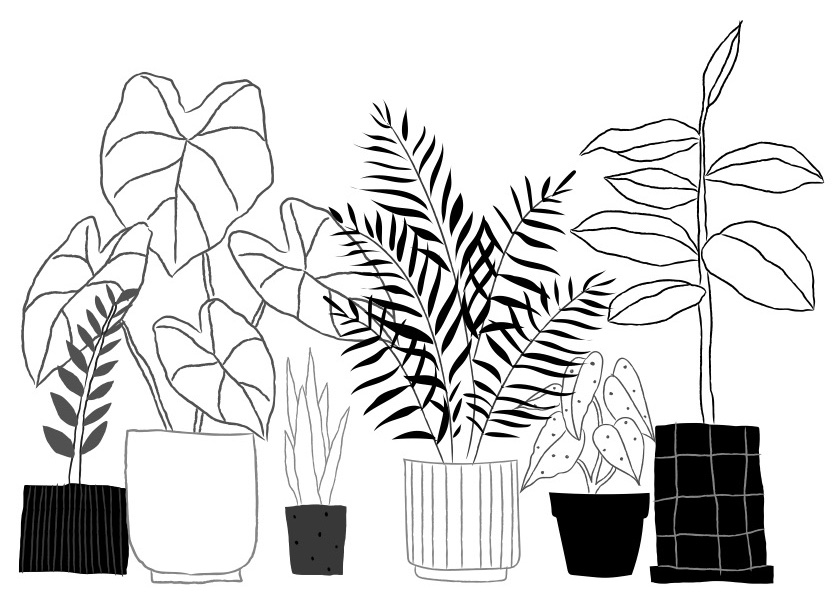 potted plants
